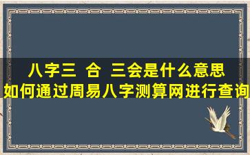 八字三  合  三会是什么意思如何通过周易八字测算网进行查询